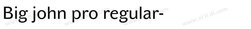 Big john pro regular字体转换
